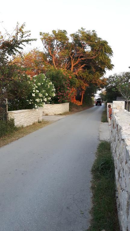 Simurina * Vlasici